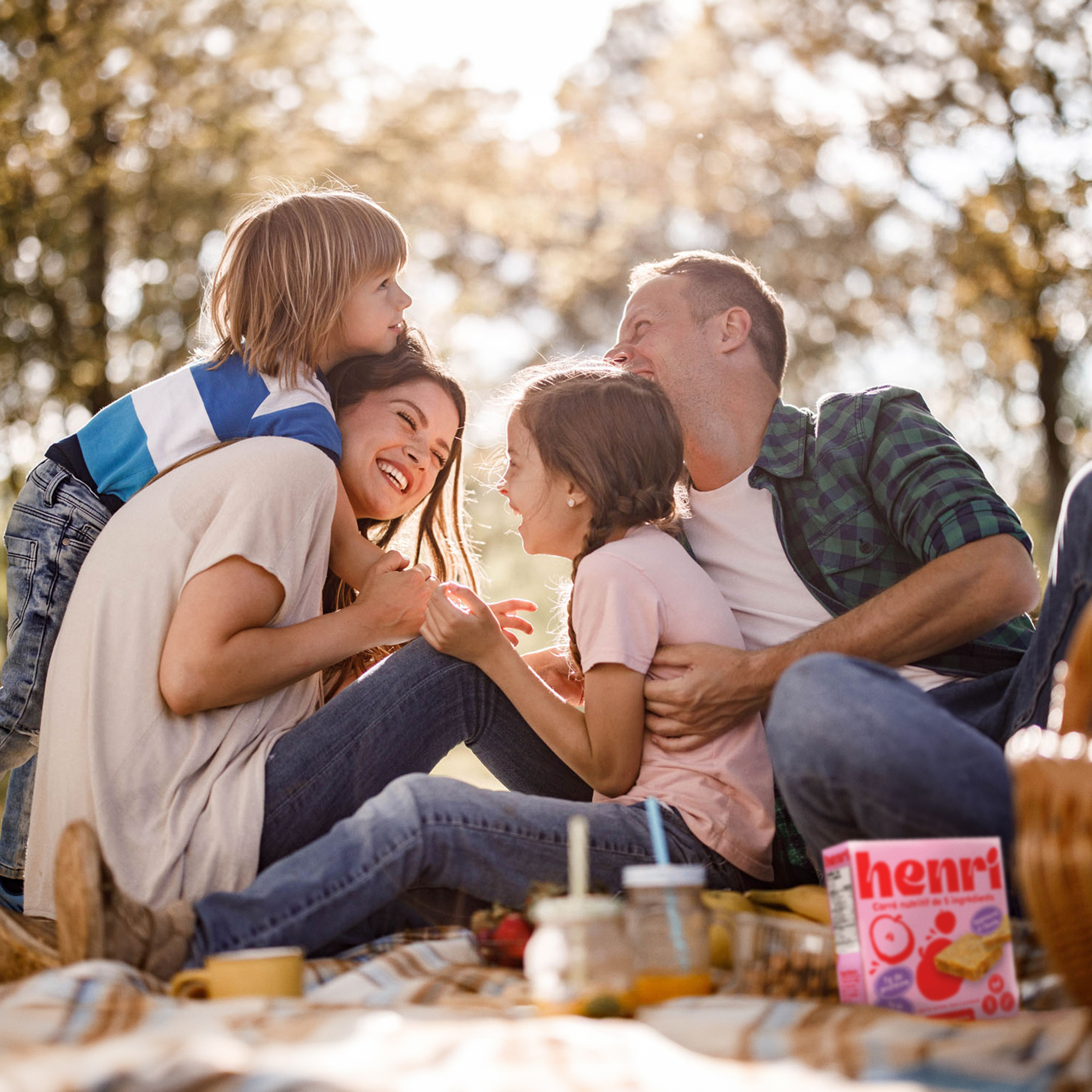 Apple cinnamon 36 x 40g